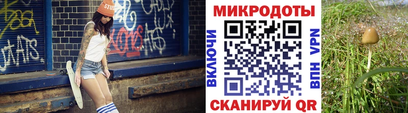 где купить   Десногорск  Псилоцибиновые грибы Psilocybine cubensis 